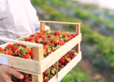 ��������� ������ ��� ��������: ������� ��������� ������