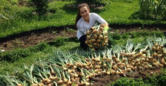 ��� ��������� ������ ��� � �������� ���������������� ������ ��������