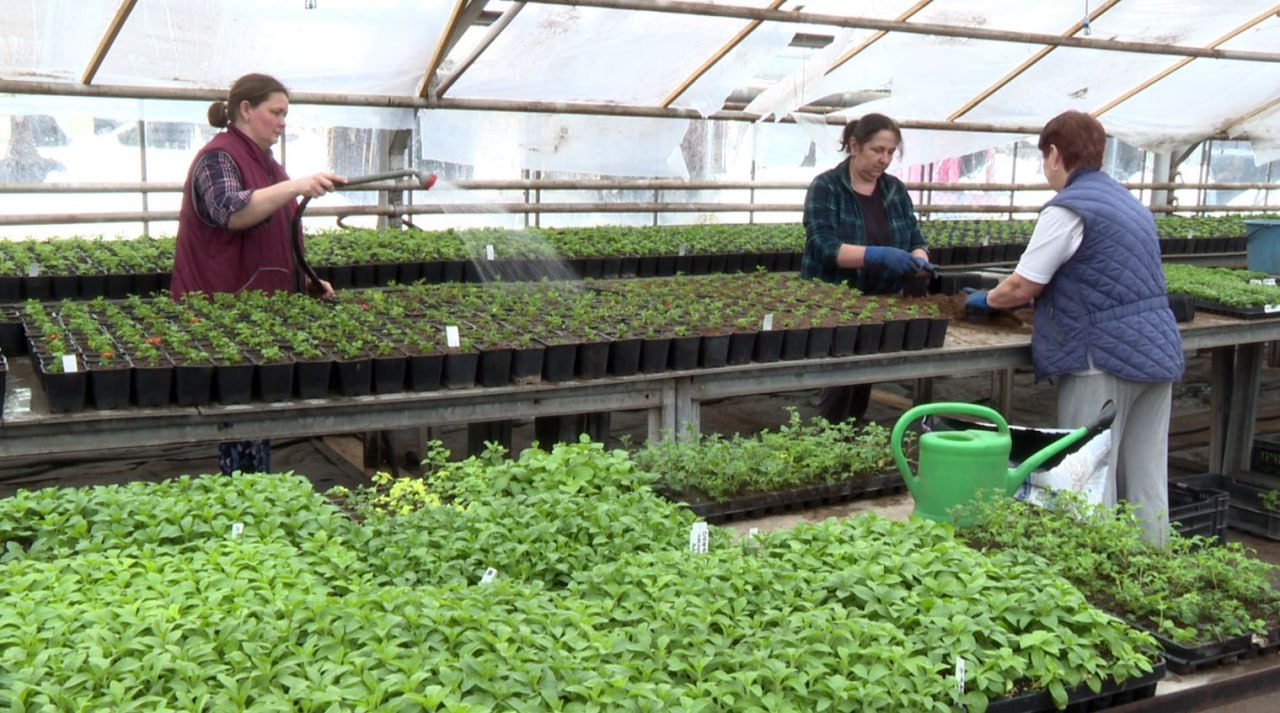 Старт сезона озеленения в Орле дадут в начале апреля Старт сезона озеленения в Орле дадут в начале апреля