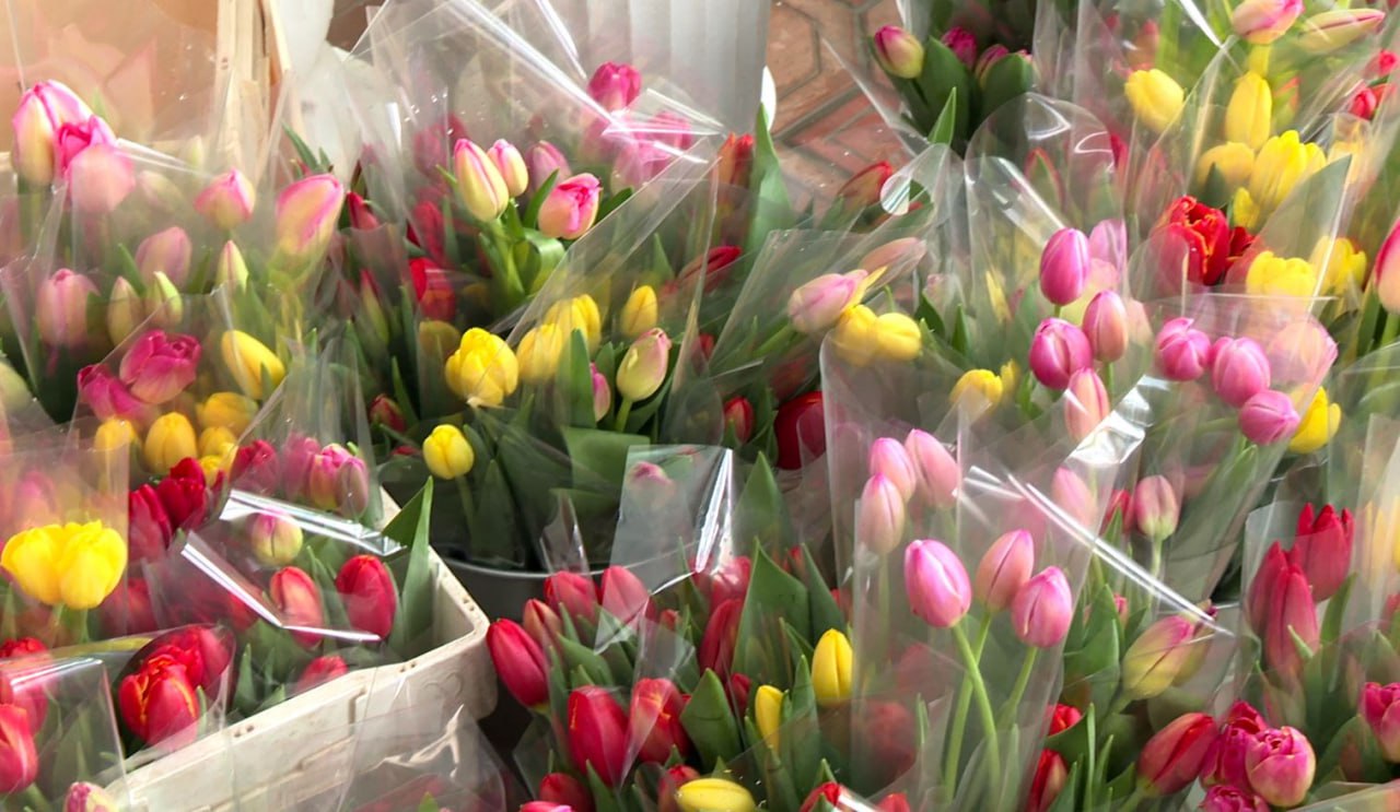 Старт сезона озеленения в Орле дадут в начале апреля