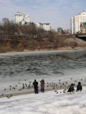 ������ ����, ������!. ������� ��������� ������� ��������� ������ ��� ����� +2�� ����������� �������� 749 ��. ��. ��. ����� ������-��������, ���� �� ��������� 3 �/� (����: �������� ���������) ��� ����� � ���