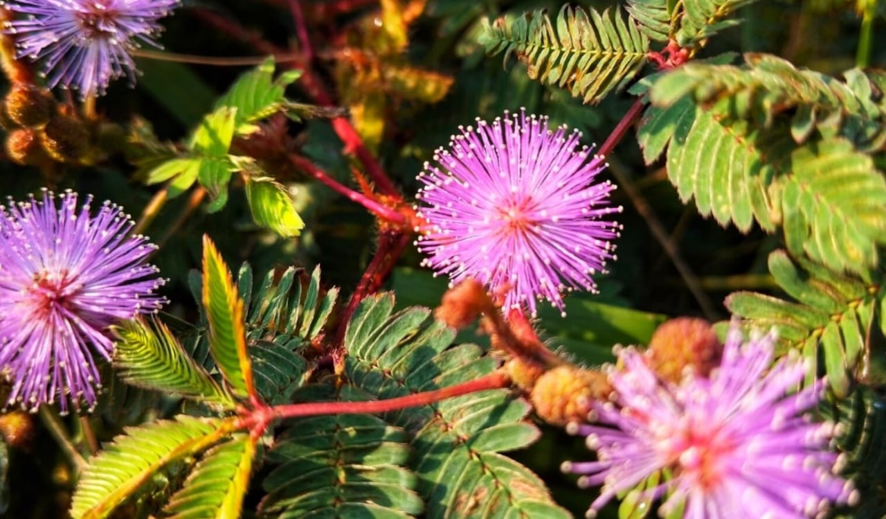 #* Подборка интересных новостей из регионов к этому часу #* Подборка интересных новостей из регионов к этому часу