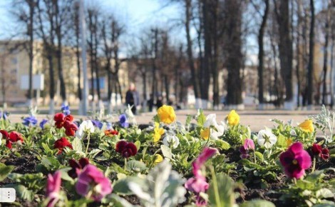 ����������������� ����� ������ �� ��������� 10 �����