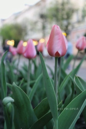 ����� ��������� ���������� ��������� ��������� ����������