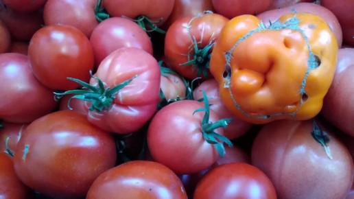 ������� ��������� ����������� �����: ��� �������� ������ ������