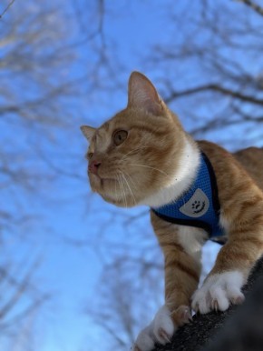 ������ ����, ������!. ������� ��������� ������� �������� � ������������ ������ ��� ����� +5�� ����������� �������� 757 ��. ��. ��. ����� ��������, ���� �� ��������� 4 �/� ��� ����� � ���