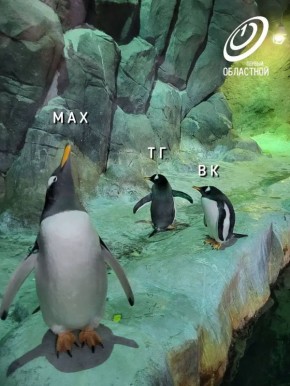 ��� ����� ���-������ ������� ������ �� ������� (��, �����)