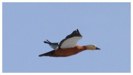 �� ��������� ������� ��������� ��������� ������� ����