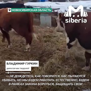 "��� �������� �������, �� �� ����� ��������"