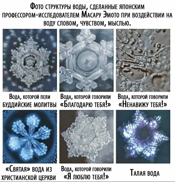 Почему талая вода теряет свою магию и больше не привлекает садоводов