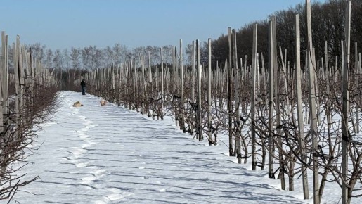 ���������� ����������, ��� ��������� �������� ������