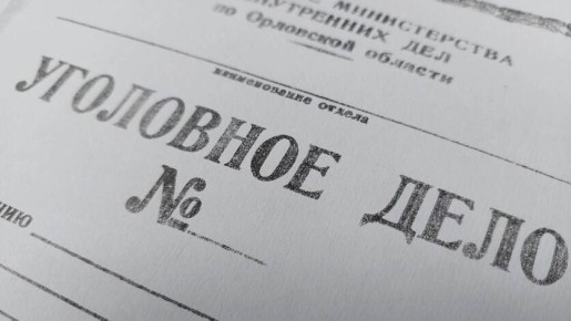 В Орловской области экс-глава сельской администрации получала зарплату за трех водителей