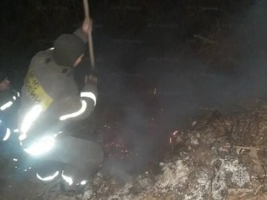 В Орле зафиксирован первый в этом году пал сухой травы