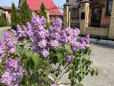 ������� ����� �� �������: ��� �������� ������� ��������