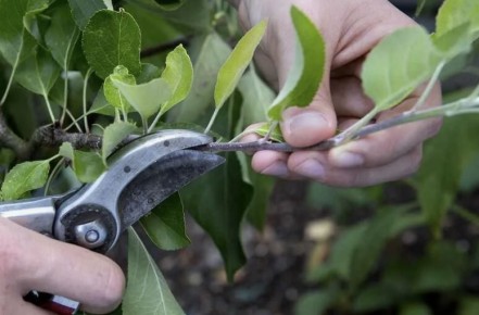 ������ ������� ������: ����� ����� ������� ������� � �����