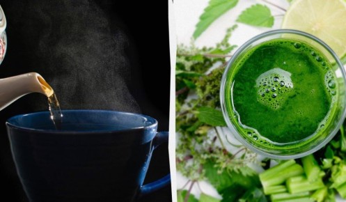 Как напитки могут улучшить работу мозга: топ-10 рекомендаций