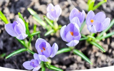 �������: �������� ������ � ����� ����