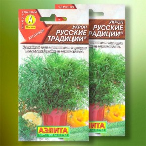 Укроп с русским характером: необыкновенные традиции на вашей грядке