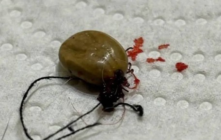 � 2025 ���� ��������� ����� ����� ������ ���������� � 2 ���� ����