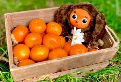 ���� � ������: ��������� ������ ��� ��������� ��������