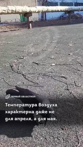 ����� ���������! � ��� ������ ��������� �������� ������!