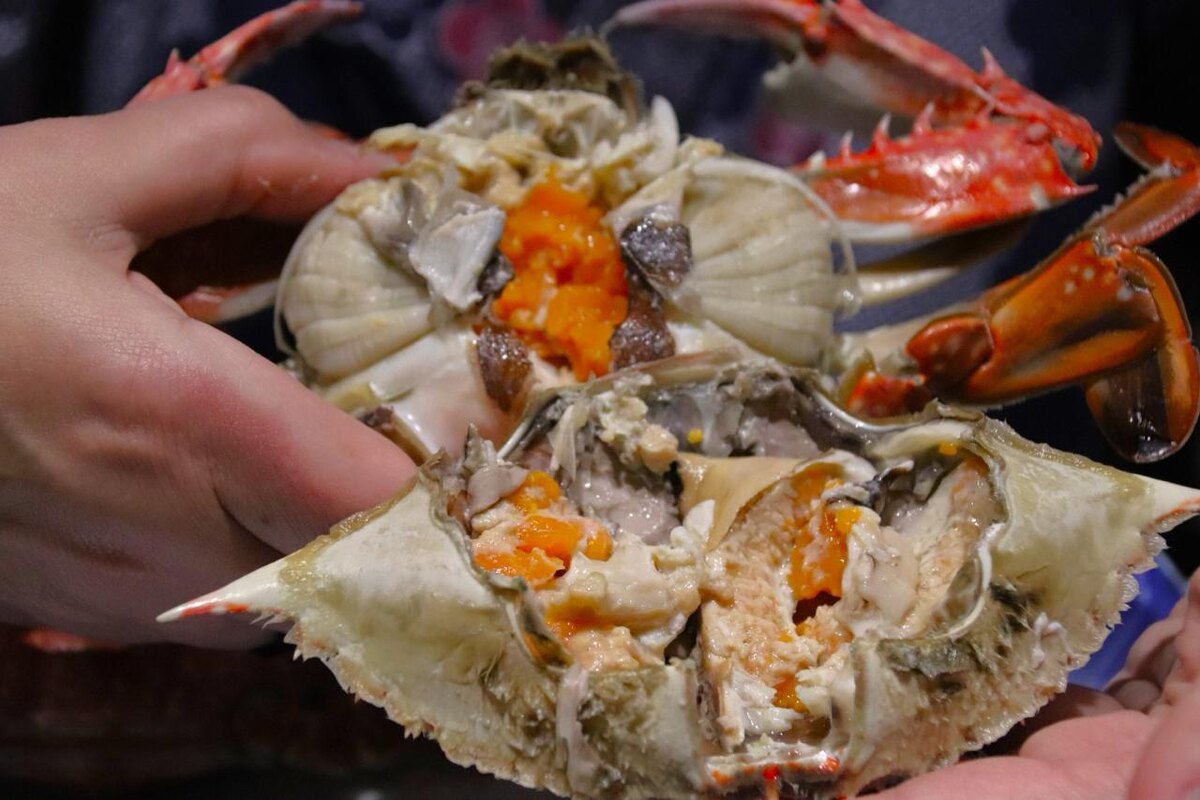 Крабы ватаригани: настоящие сокровища морских глубин