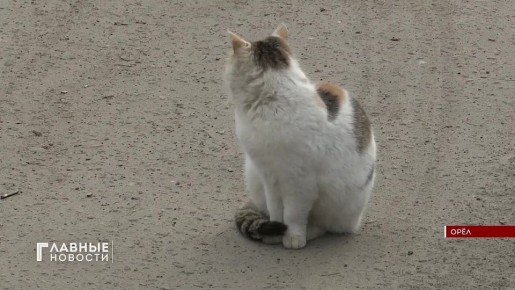 ������ ������������� ��������� ���������� ����� ������ ��������� ��������� �� ��������������� ���������� � I ��������� 2026 ����