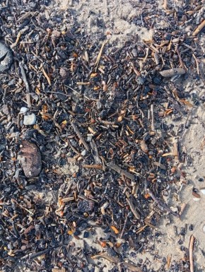 Первый день пенсионера: как выглядит новый этап жизни