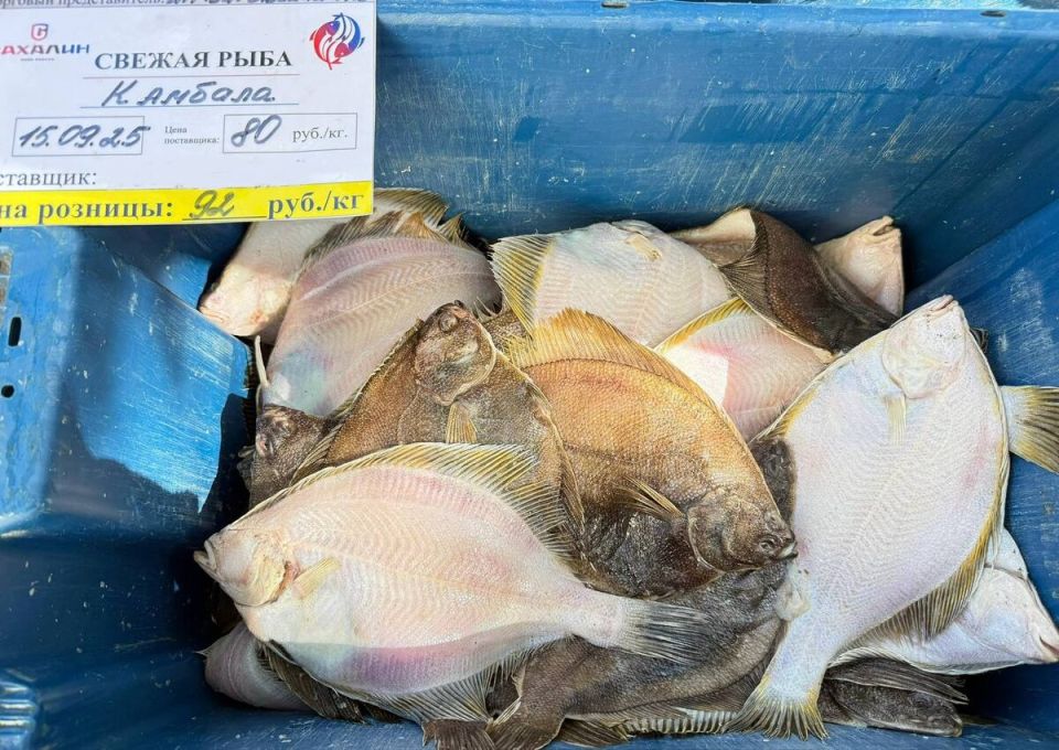 ������� �� ��������� ����: 92 ���/�� �� ��. ���������!