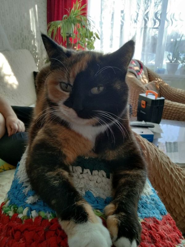 ����� ���� ����� � ���������� ������������: ��� ������ ����