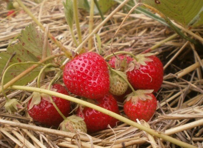 ������� ��������� ��������: ��� �� ����� ���� ��������, � ��� ���� ���