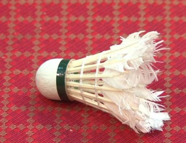 Орловчанка Милана Савина завоевала «бронзу» всероссийских соревнований по бадминтону!