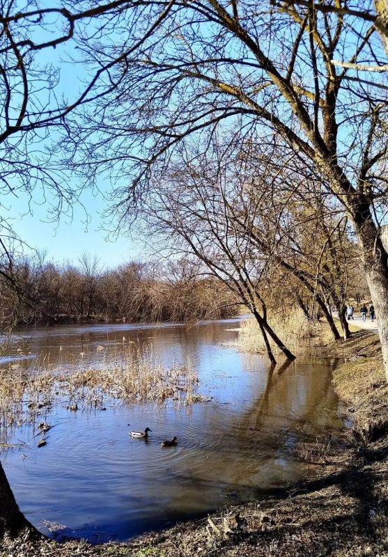 Доброе утро, друзья!. Сегодня синоптики обещают малооблачную погоду Днм будет +11°С Атмосферное давление 741 мм. рт. ст. Ветер северный, дует со скоростью 4 м/с (Фото Альберта Рассолова) НАШ КАНАЛ В МАХ