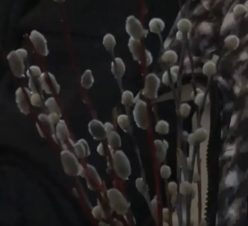 ������������ ��������� ������� ��������� ���� �� ������� ���������� � ���� ��������� � ���������