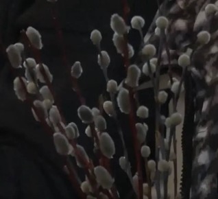 ������������ ��������� ������� ��������� ���� �� ������� ���������� � ���� ��������� � ���������