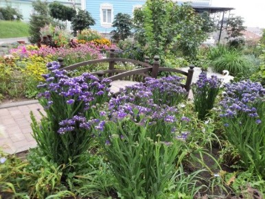 �������: ������� ������, ������� ������ ���� � ������ ����