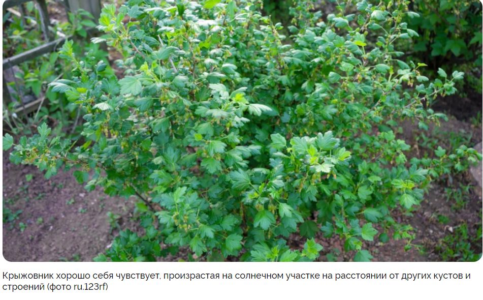 ��� ��������� ������� ������ ����������: ������� ������� � �����