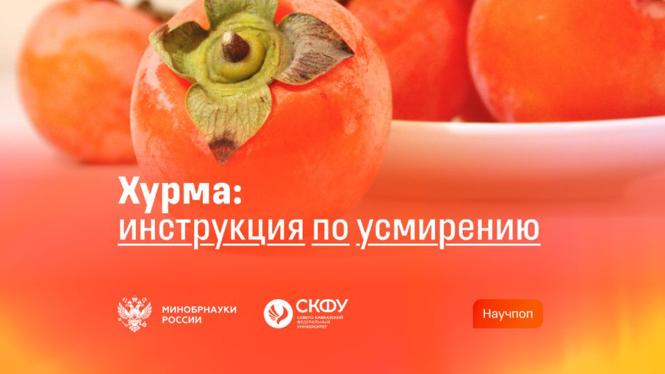 ������ ����� ����� ������ ��� � ��� ��� ������ ����� ��������