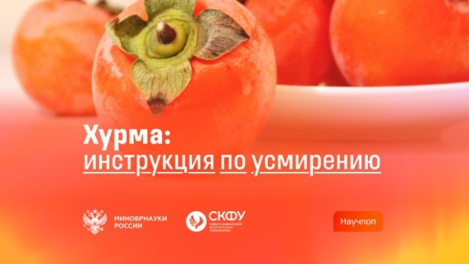 ������ ����� ����� ������ ��� � ��� ��� ������ ����� ��������