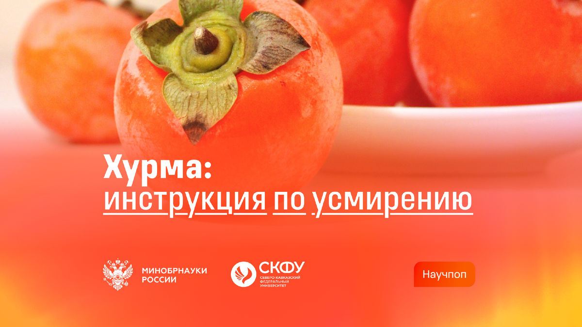 Почему хурма может щипать рот и как это бывает легче пережить