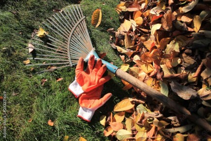 ������� ������: ��� ������� ������ ������� ����������� � �������� ��� �������