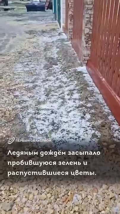 "��� �� ����!" - ���������� ����� �������� ������� ������