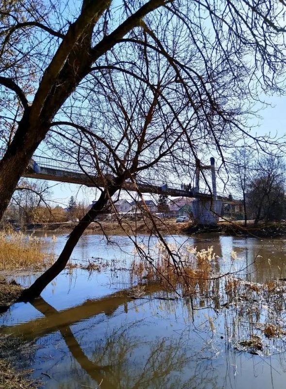 ������ ����, ������!. ������� ��������� ������� ���������� ����������, ��������� ����� ��� ����� +7�� ����������� �������� 737 �� ��. ��. ����� ��������, ���� �� ��������� 5 �/� (���� �������� ���������) ��� ����� � ���