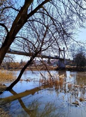 Доброе утро, друзья!. Сегодня синоптики обещают переменную облачность, небольшой дождь Днм будет +7°С Атмосферное давление 737 мм рт. ст. Ветер западный, дует со скоростью 5 м/с (Фото Альберта Рассолова) НАШ КАНАЛ В МАХ