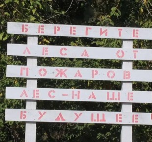 � ������������ ��� � ��������� ������� - ������������� �����