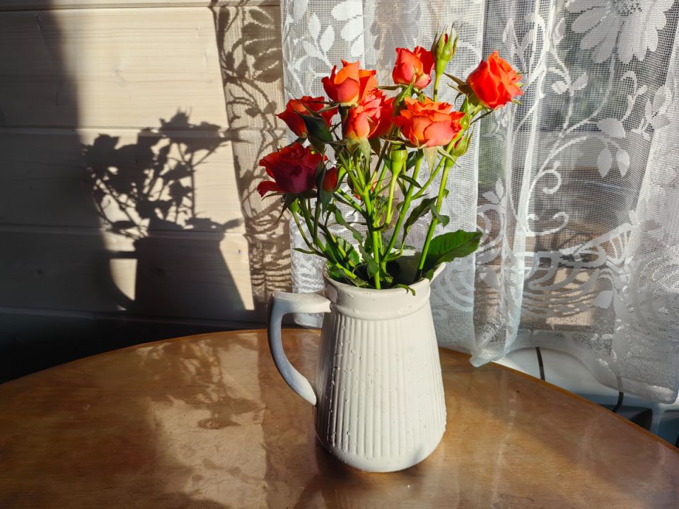 ���������� ������ � ��������: ��� ������� ������� ����� �� �����