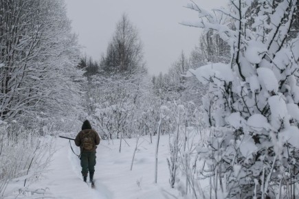 ������� �������� ��������� ������ ����: ��� ��� ������ ��� �������?