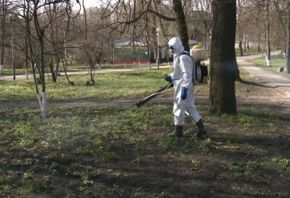 В Орле после выходных закроют парки на обработку от клещей