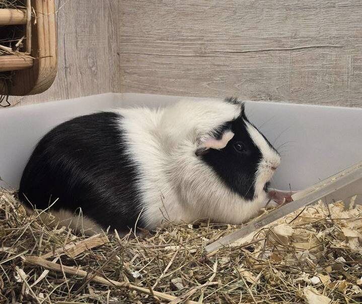 ������ ����� ���� ����� ����� �������������