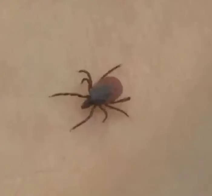 ��� 31 ������ ��������� ������� ��������� � ������ � �������� �� ����� ������